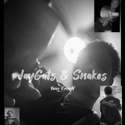 Jaycats & snakes - Single