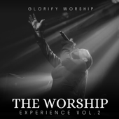 The Worship Experience, Vol. 2