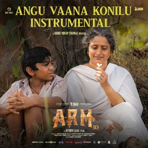 Angu Vaana Konilu (Instrumental) [From 