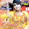 Putri Chantika - Dikijoknyo Den
