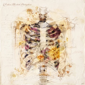 Broken Hearted Metaphors - Single