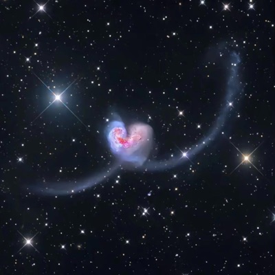 VWM (VIBE WITH ME) (feat. 2manymafia) - Single