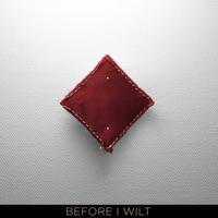 Before I Wilt - Single - TRACES