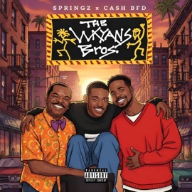 The Wayans Bros (feat. Cash BFD & Marlon Wayans) Springz
