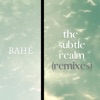 The Subtle Realm (Diass Remix) cover art