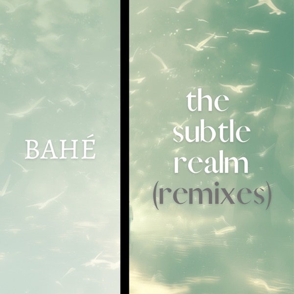 The Subtle Realm (Remixes) - Single