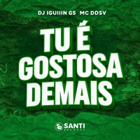 Tu É Gostosa Demais - Single - DJ IGUIIN GS & Mc DDSV