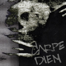 CARPE DIEM STED.D