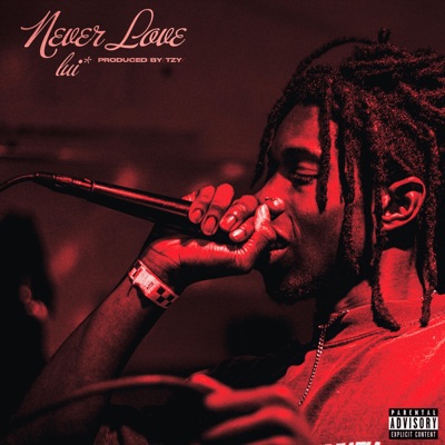 Never Love - Single