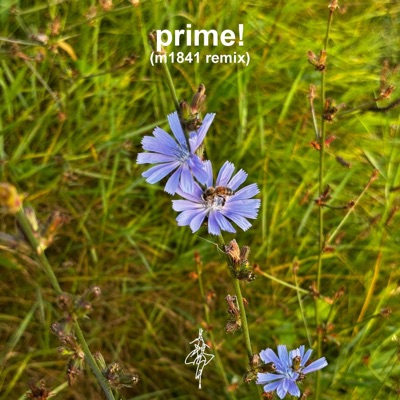 prime! (m1841 remix) - Single