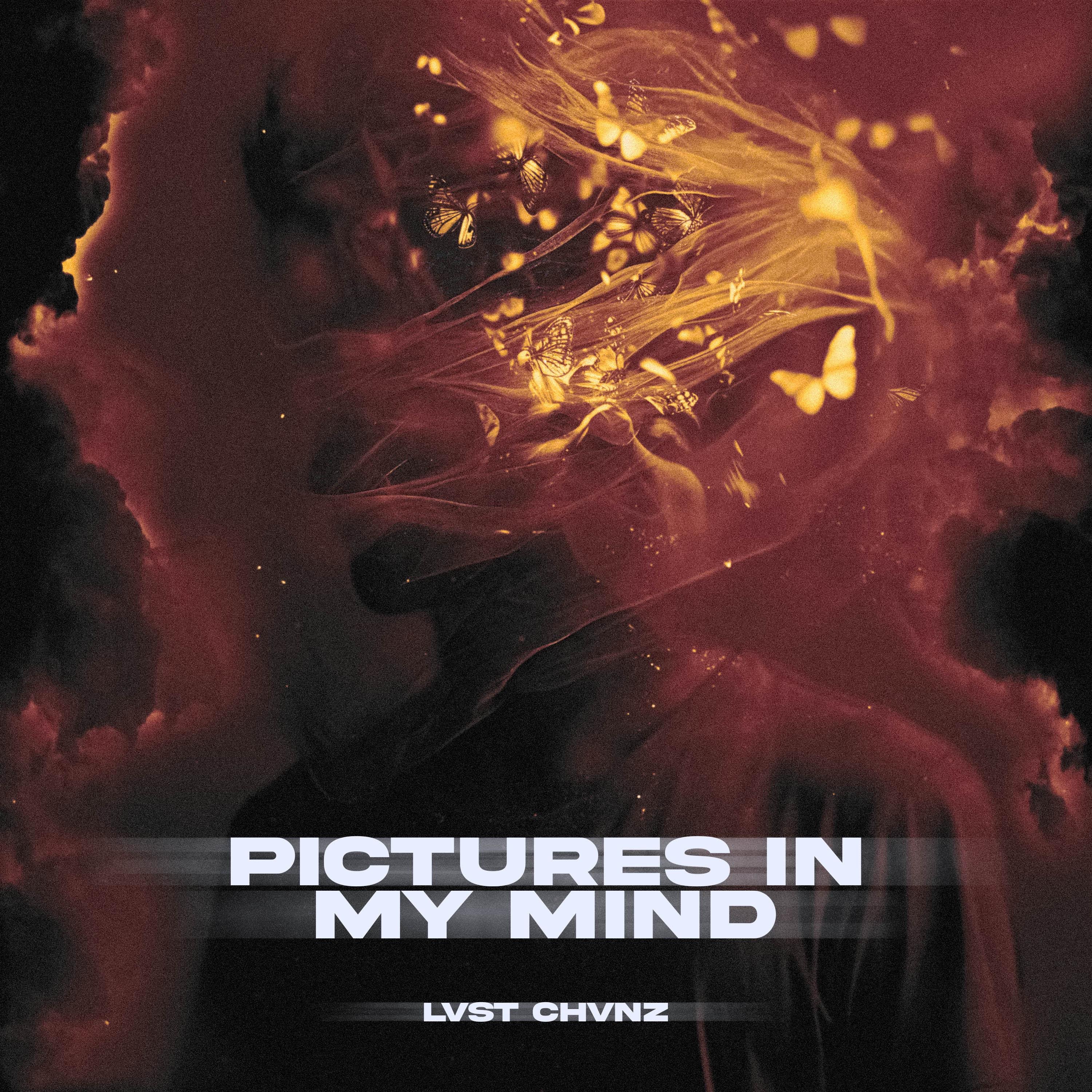 Pictures In My Mind (feat. SOGIMURA) - Single