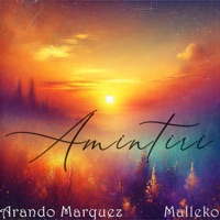 Amintiri - Single - Arando Marquez & Malleko