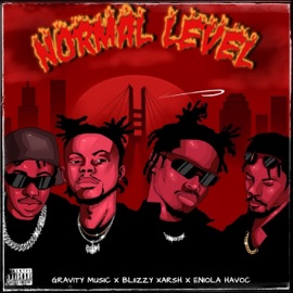 Normal Level Phyl, Bliizzy, ARSH & Eniola Havoc