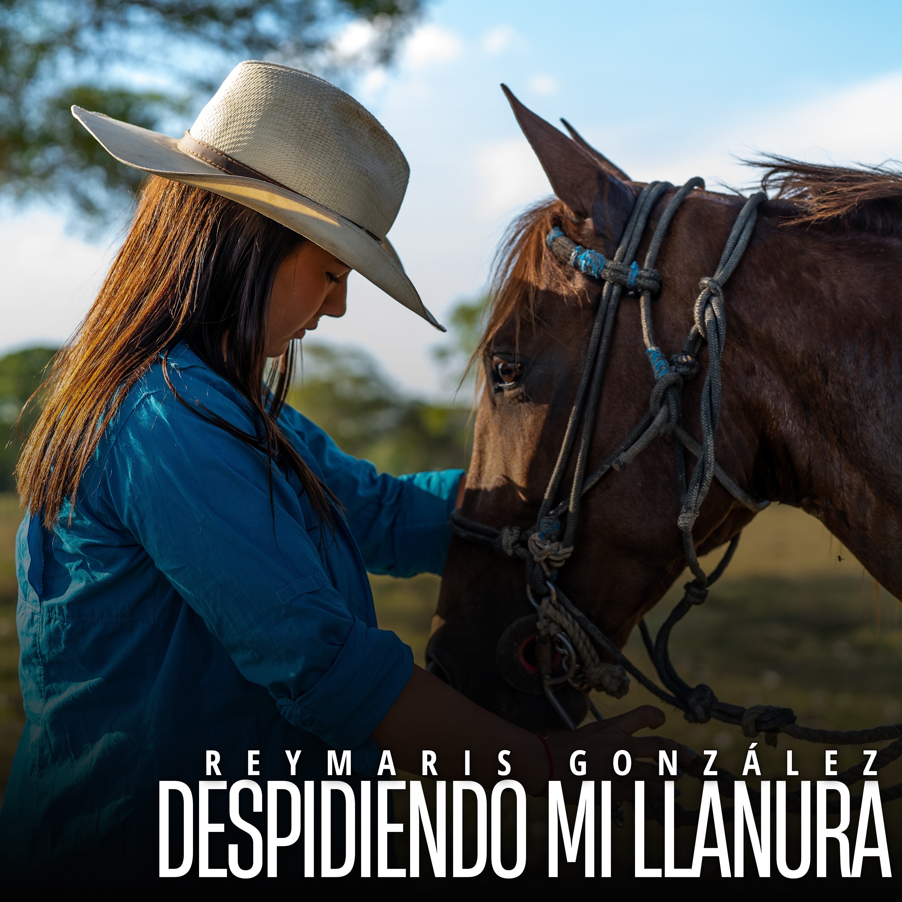 Despidiendo mi Llanura - Single