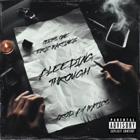 Bleeding Through (feat. Eric Martinez) - Single - PECKS ONE