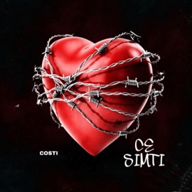 Ce Simti Costi
