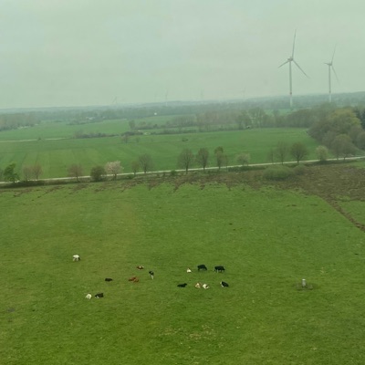 SKREET-CHAMP - Single