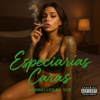 Especiarias Caras (feat. JN no Beat) - Single - Dornelles na voz