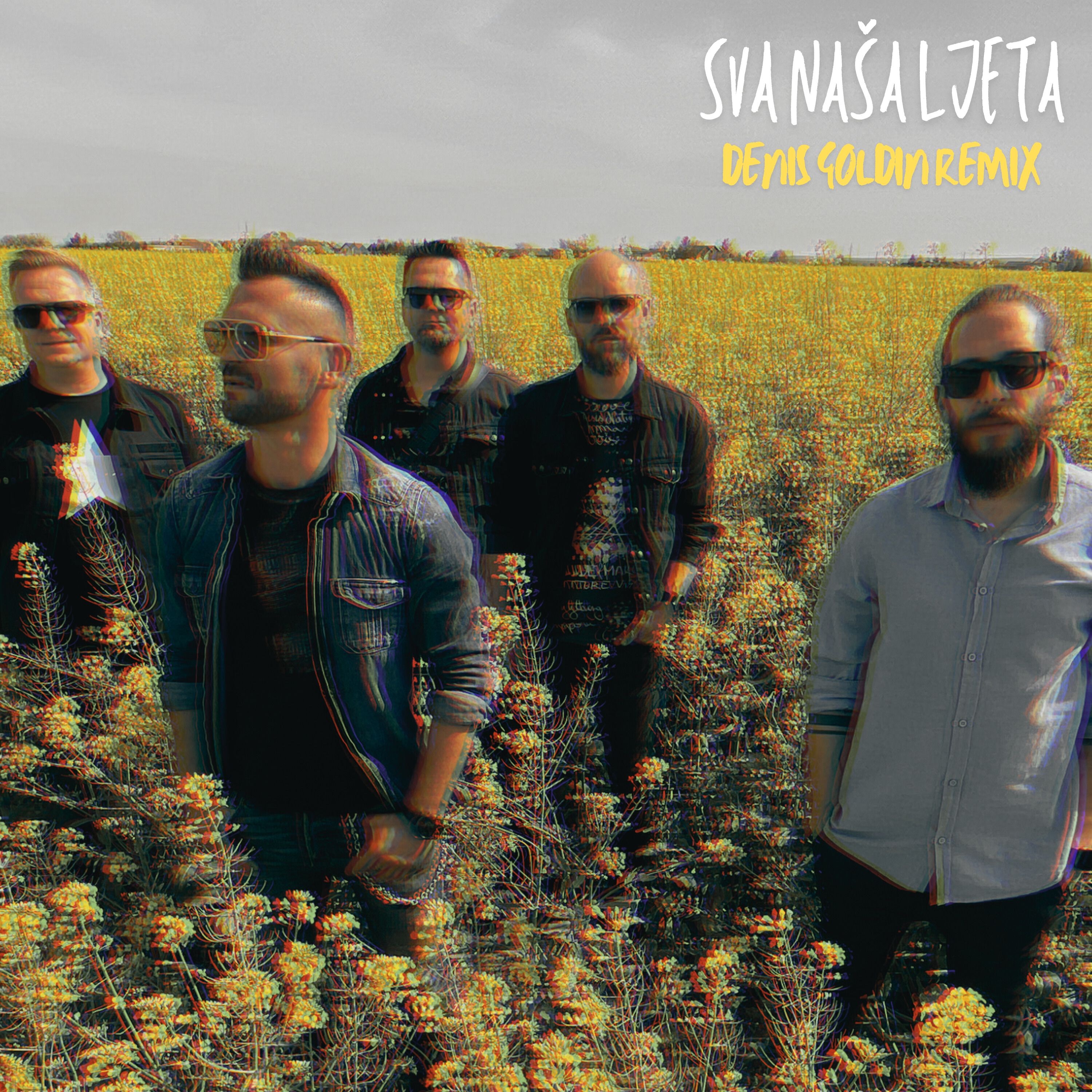 Sva naša ljeta (Denis Goldin Remix) - Single