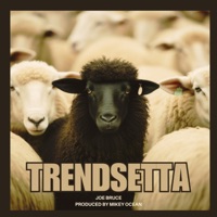 Trendsetta - Single - joe bruce