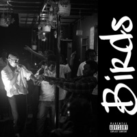 Birds (feat. Matt Travers) - Single - Kevin Mawejje