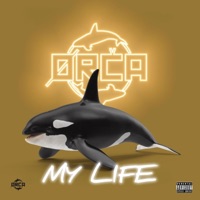 MY LIFE - OrcaMc