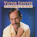 Sentimiento de Pena