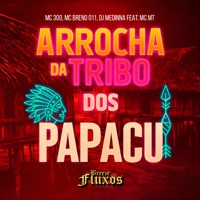 ARROCHA DA TRIBO DOS PAPACU (feat. MC MT) - Single - MC 300, MC Breno 011 & Dj Medinna