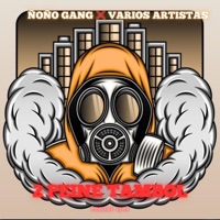 2 PEINE TAMBOL FT. VARIOS ARTISTAS - Single - ÑOÑO GANG