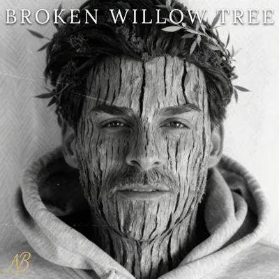 Listen to Broken Willow Tree - Single by Nick Barrett