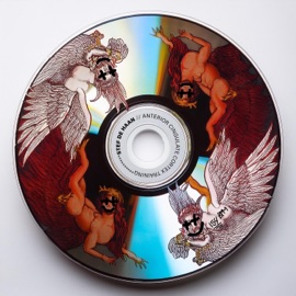 *+:。.。ANTERIOR CINGULATE CORTEX TRAINING。.。:+* Stef de Haan