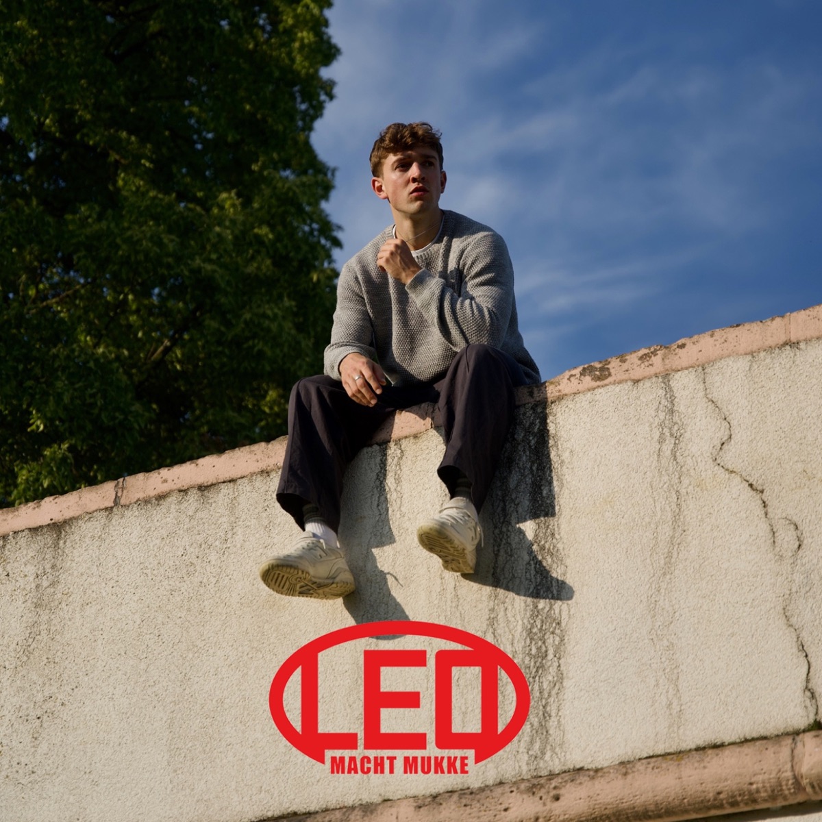 Leo Billen - Frühling vor paar Jahr'n - EP (2025) [iTunes Plus AAC M4A]-新房子