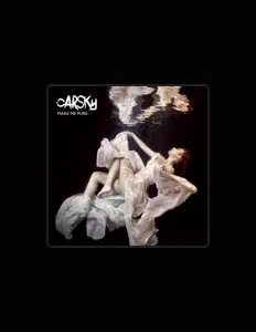 收听 Carsky、观看音乐视频、阅读小传、查看巡演日期等 ！