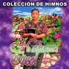 Ama si quieres ser feliz