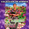 Ama si quieres ser feliz