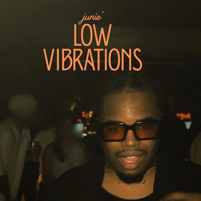 Low Vibrations (Radio Edit) - Single