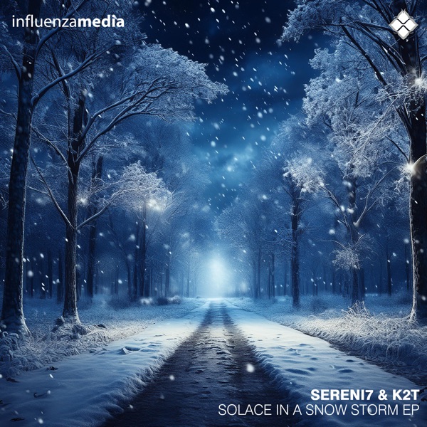 Solace in a Snow Storm - Single