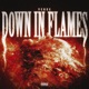 Down in Flames Single