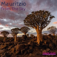 From The Sky - Single - Mauritzio