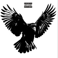 raven. - Blxck Fyxh