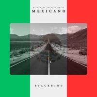 Mexicano - Single - B1ACKB1RD & BSM