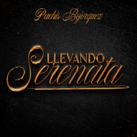 Llevando Serenata - Pachis Bojorquez