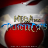Mega dos Thundercats (feat. Mc Mary Maii) - Single - Davizzin, DJ RX & Mc Vitin Da Igrejinha