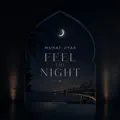 Feel The Night