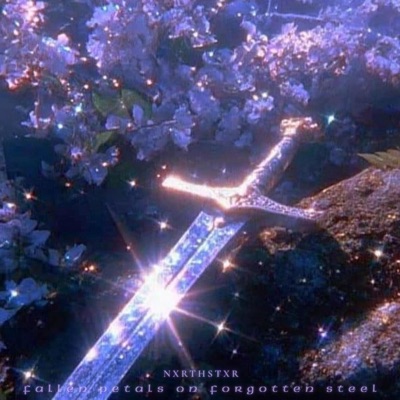 Fallen Petals on Forgotten Steel - Single