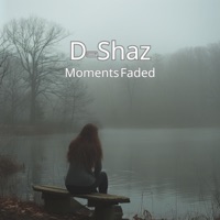 Moments Faded - Single - D-Shaz