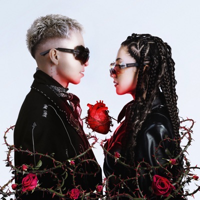 TOCHNA DOZA - Single