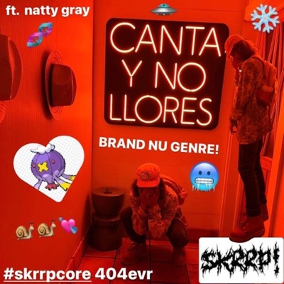 #skrrpcore 404evr - Single