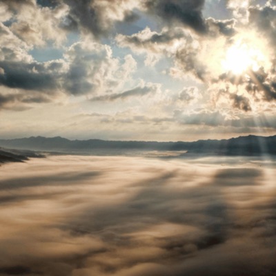 Dumb & Dumber (feat. 279tyler) - Single