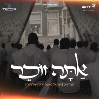 אתה זוכר - שירושיר - Single - Israel Sosna And His Orchestra